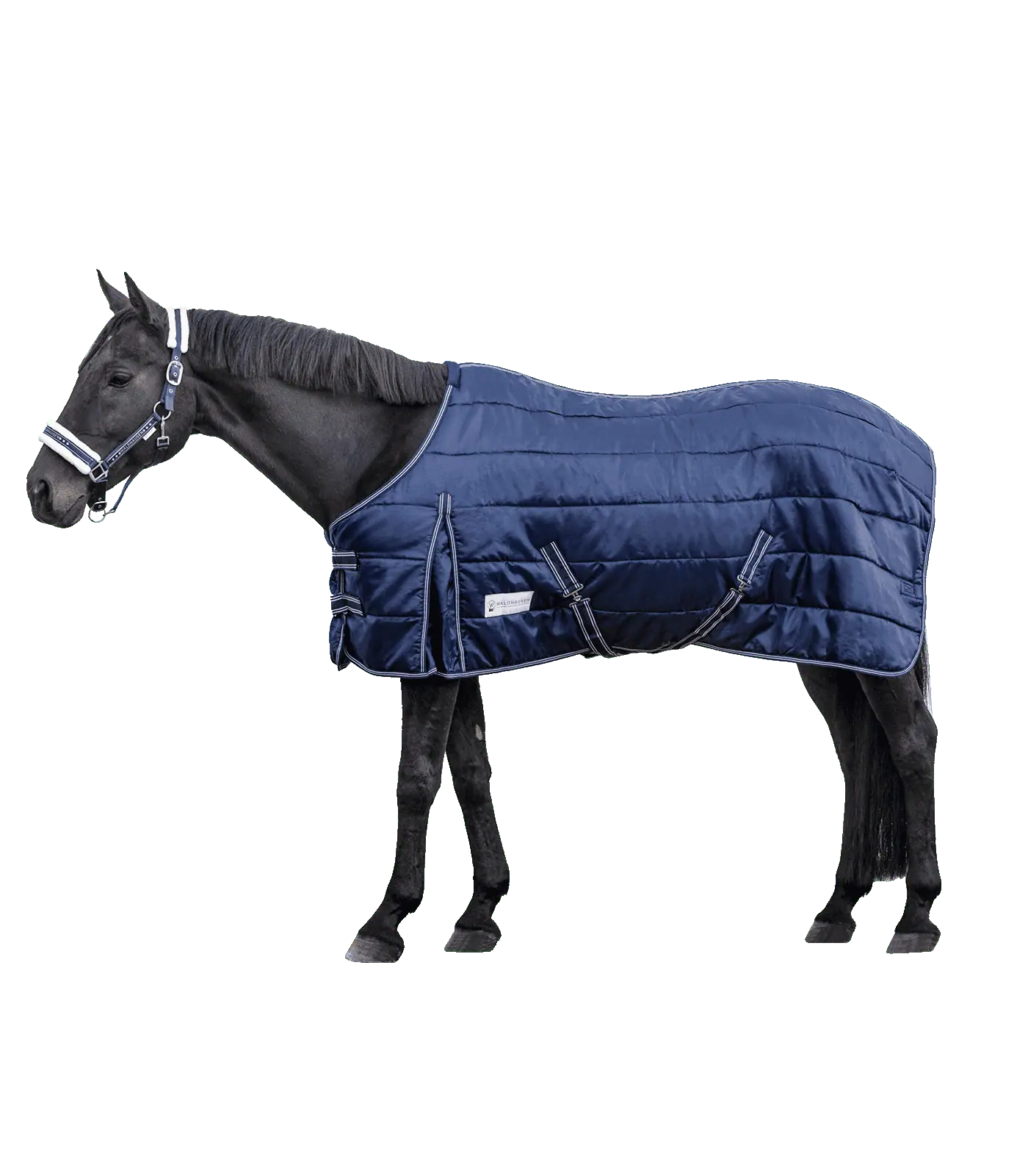 ECONOMIC Stable Rug, 300 g night blue 105