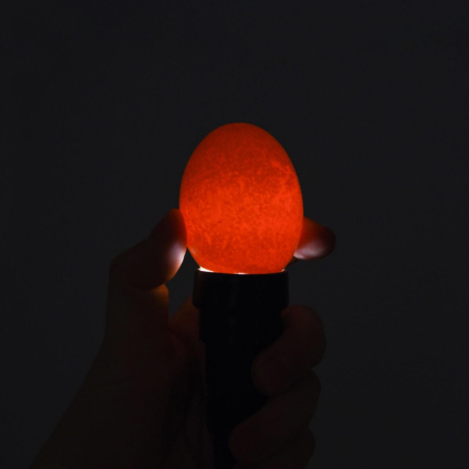 LED tojás ellenőrző lámpa