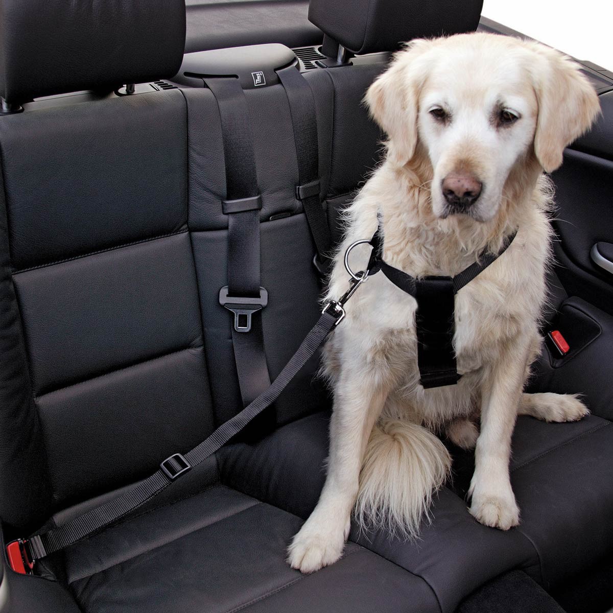 Kerbl biztonsági öv AUTO kutyáknak