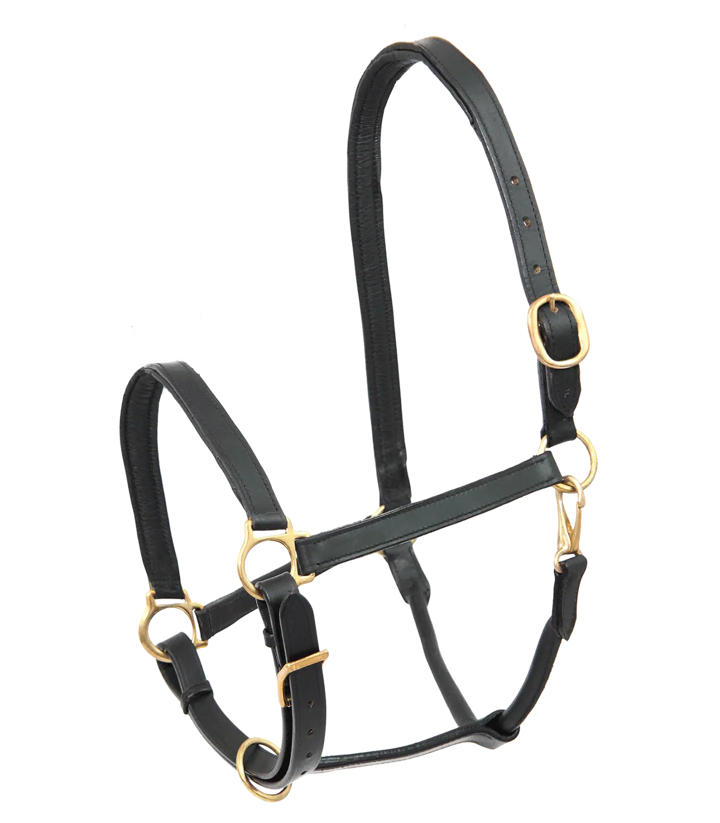 STAR Leather Halter Robust black Pony