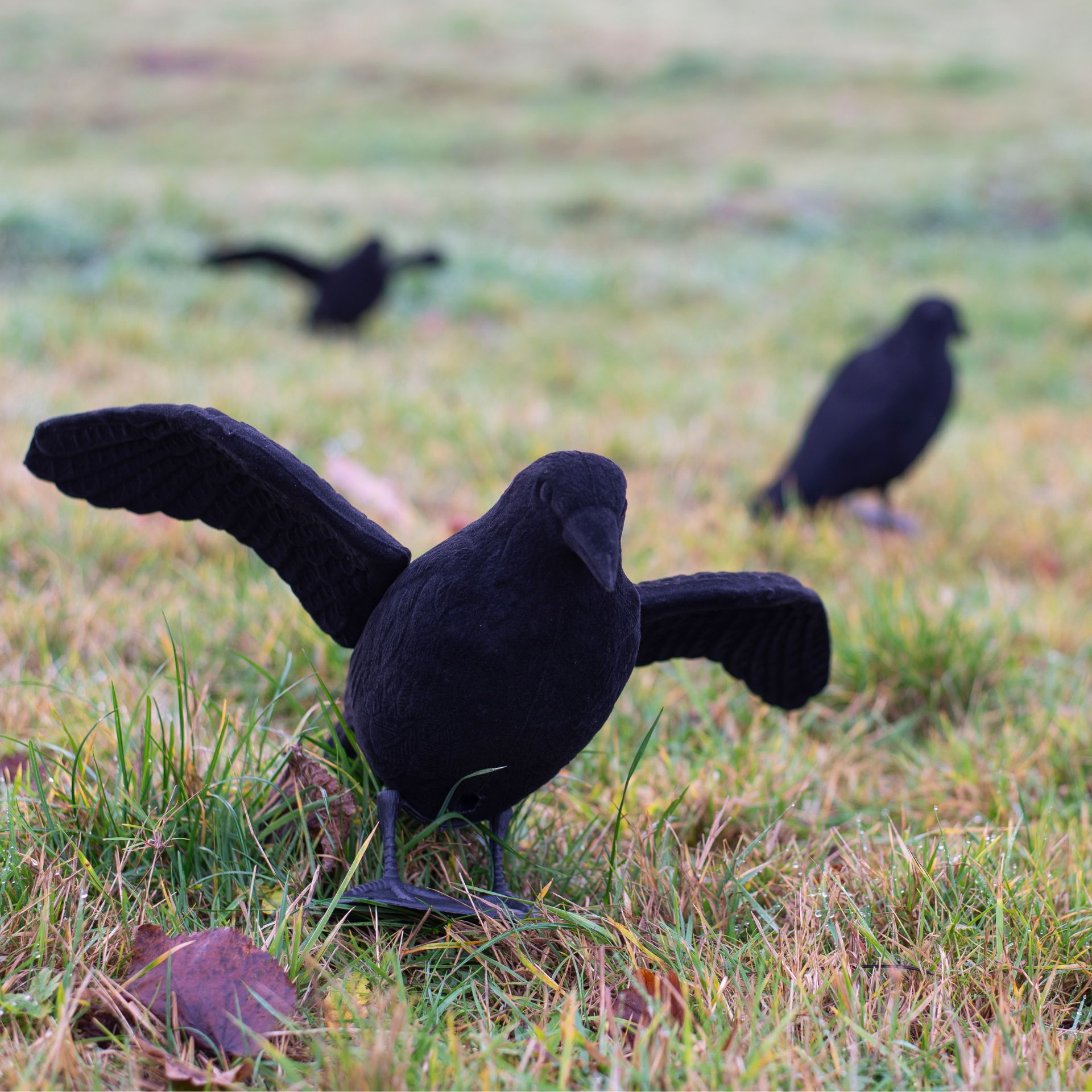 Flocked Decoy Crow szárnyakkal