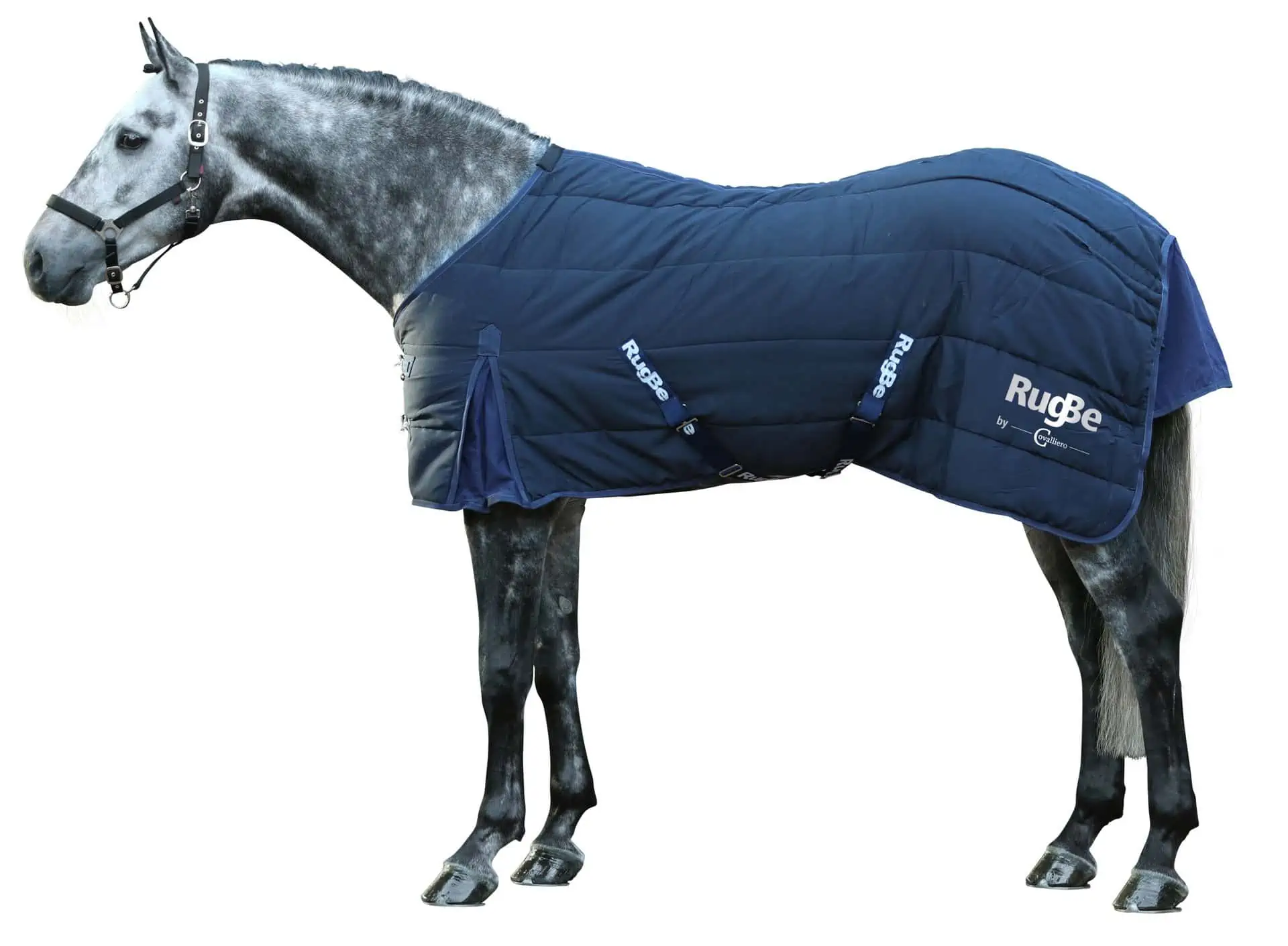 Stable Horse blanket RugBe Indoor