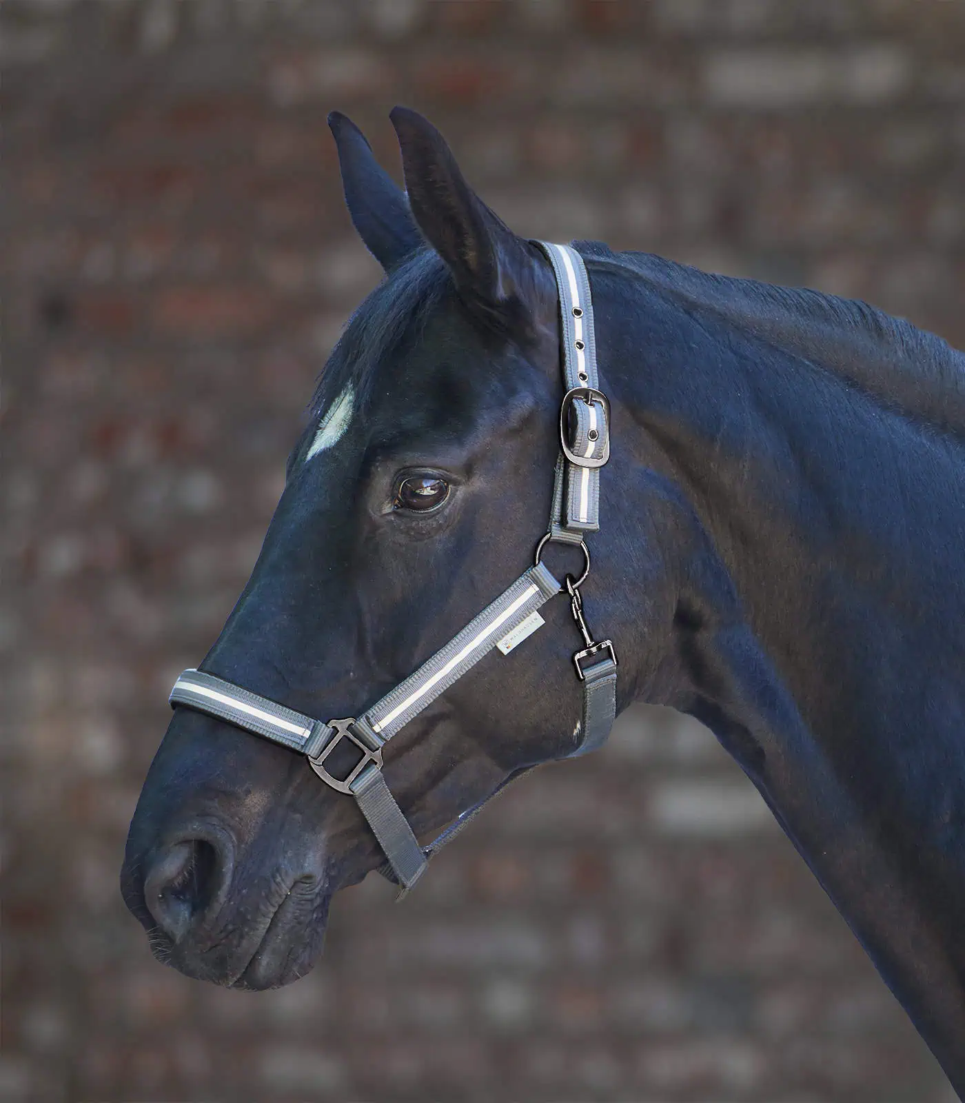 REFLEX Stripe Halter gray Pony