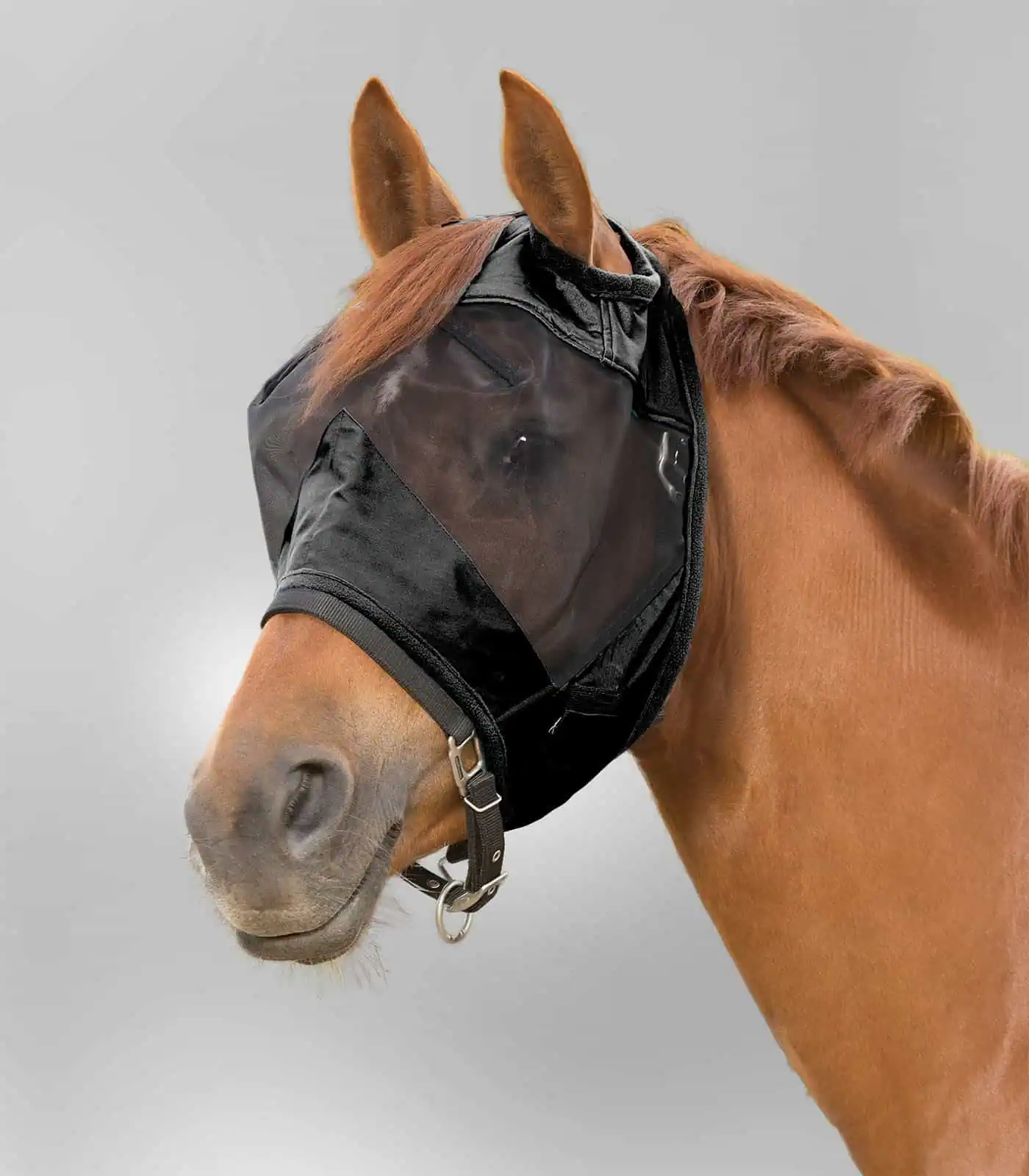 PREMIUM Fly Mask without ear protection black Pony