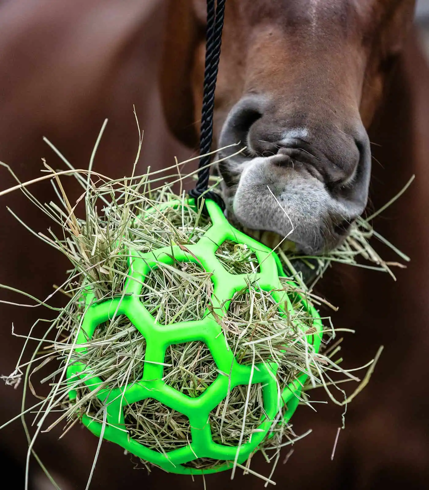 Hay Ball green