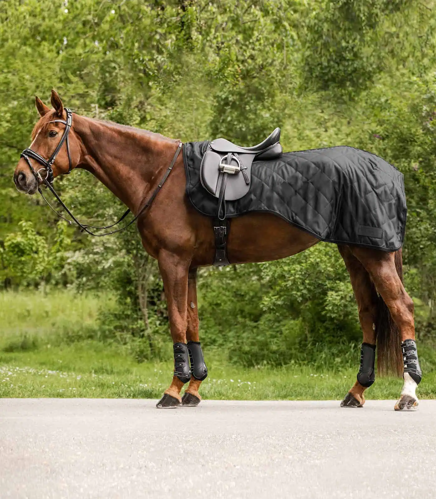 Exclusive Exercise Sheet black COB