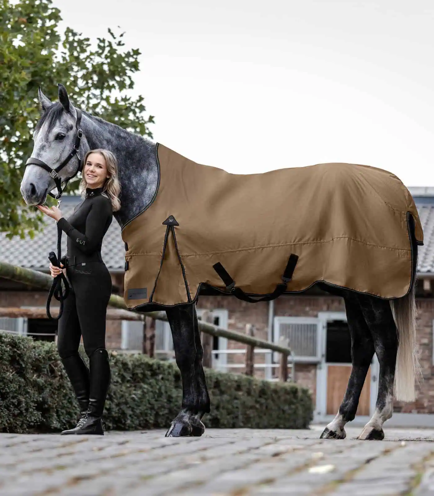 ARCTIC Turnout Rug, High Neck, 100 g cappuccino/black 155