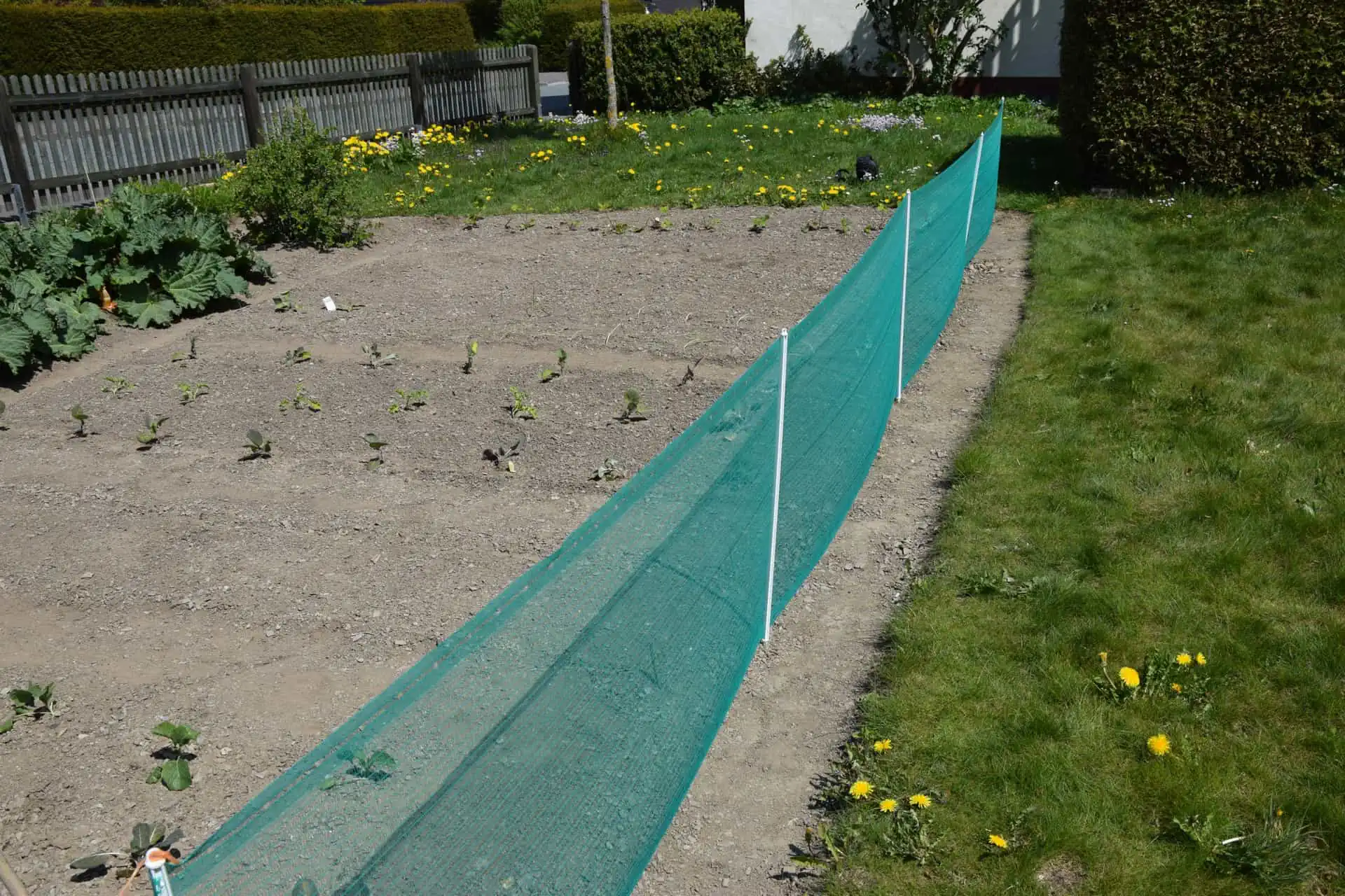 Univerzális kerítés zöld 80cm x 20m