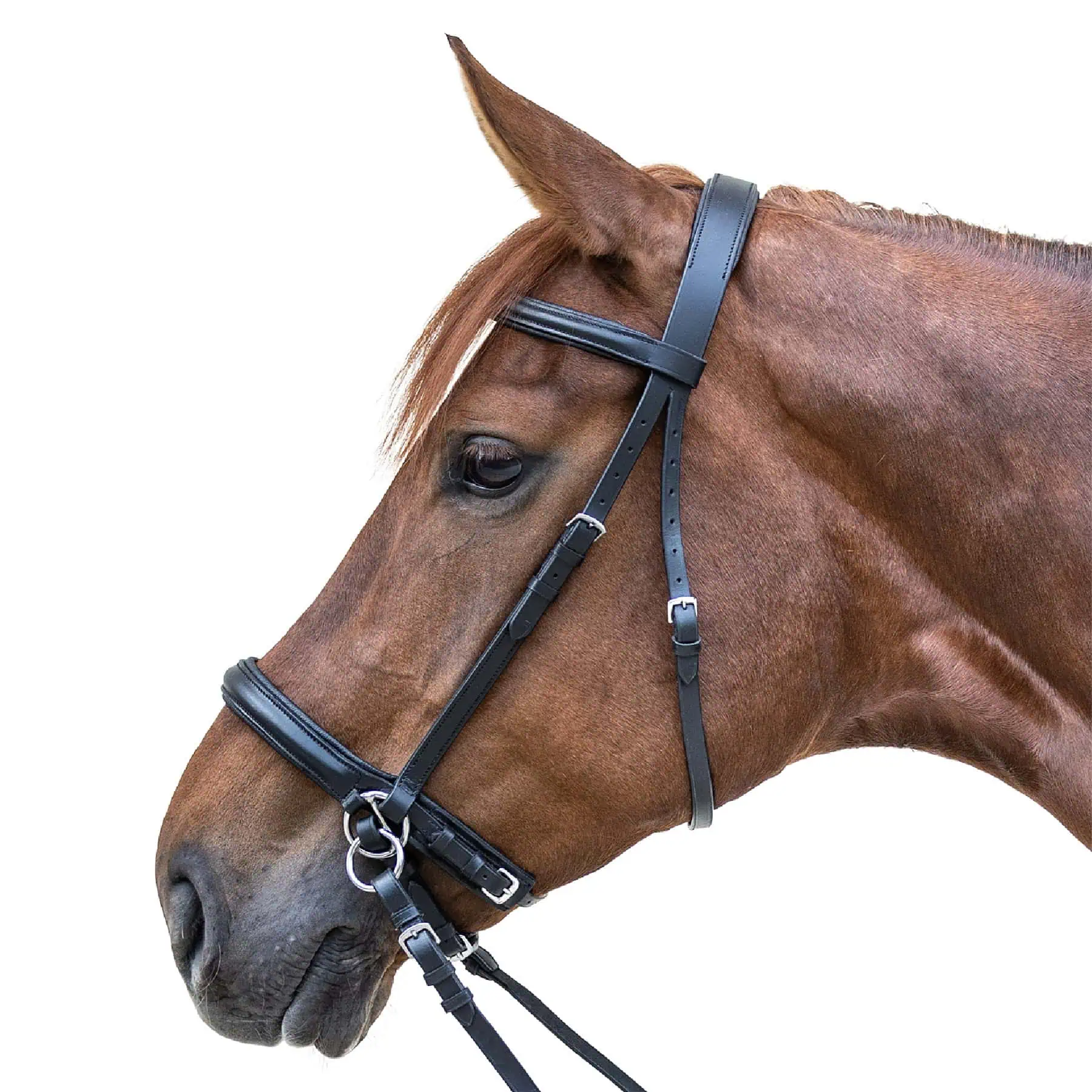 STAR Bitless Bridle black Pony