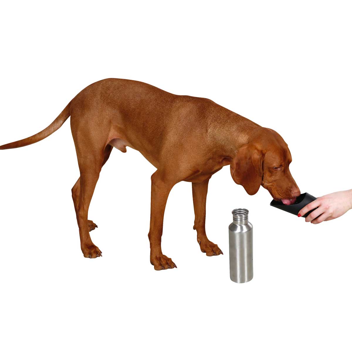 Kerbl kutya utazó ivópalack rozsdamentes acél 750 ml