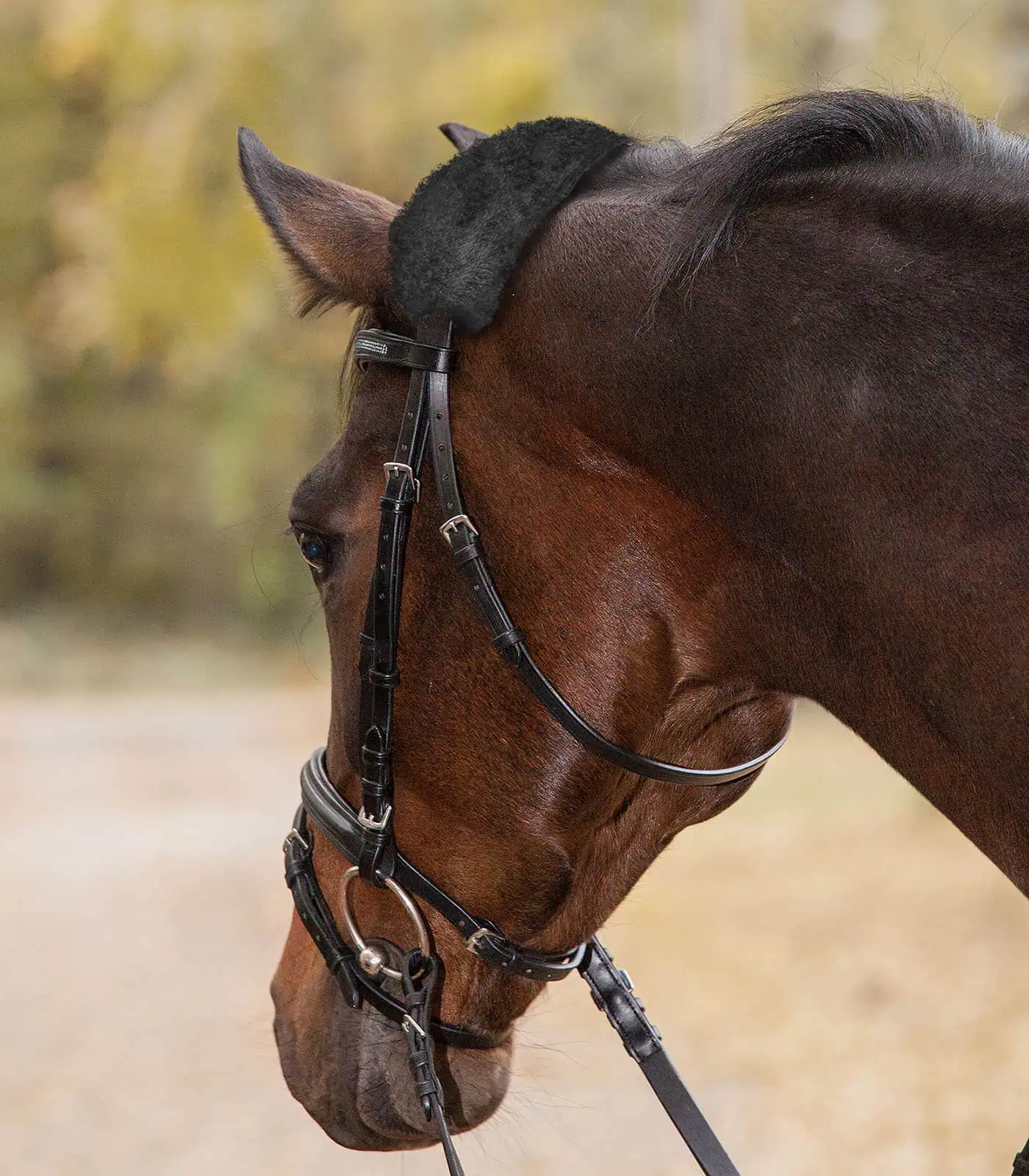 Real Lambskin Noseband - or Headpiece-Cushioning black