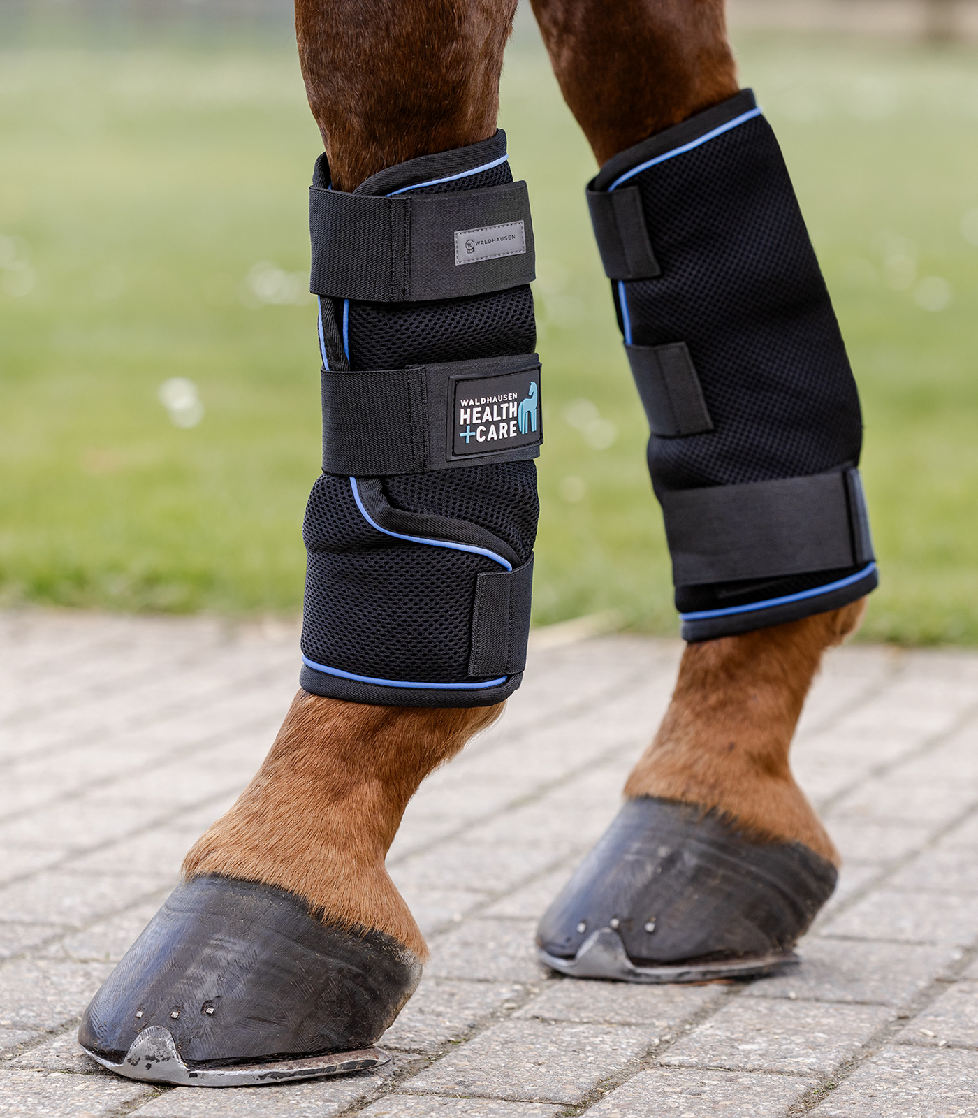 Waldhausen W-Health + Care Ice Layer Gaiter, Size M