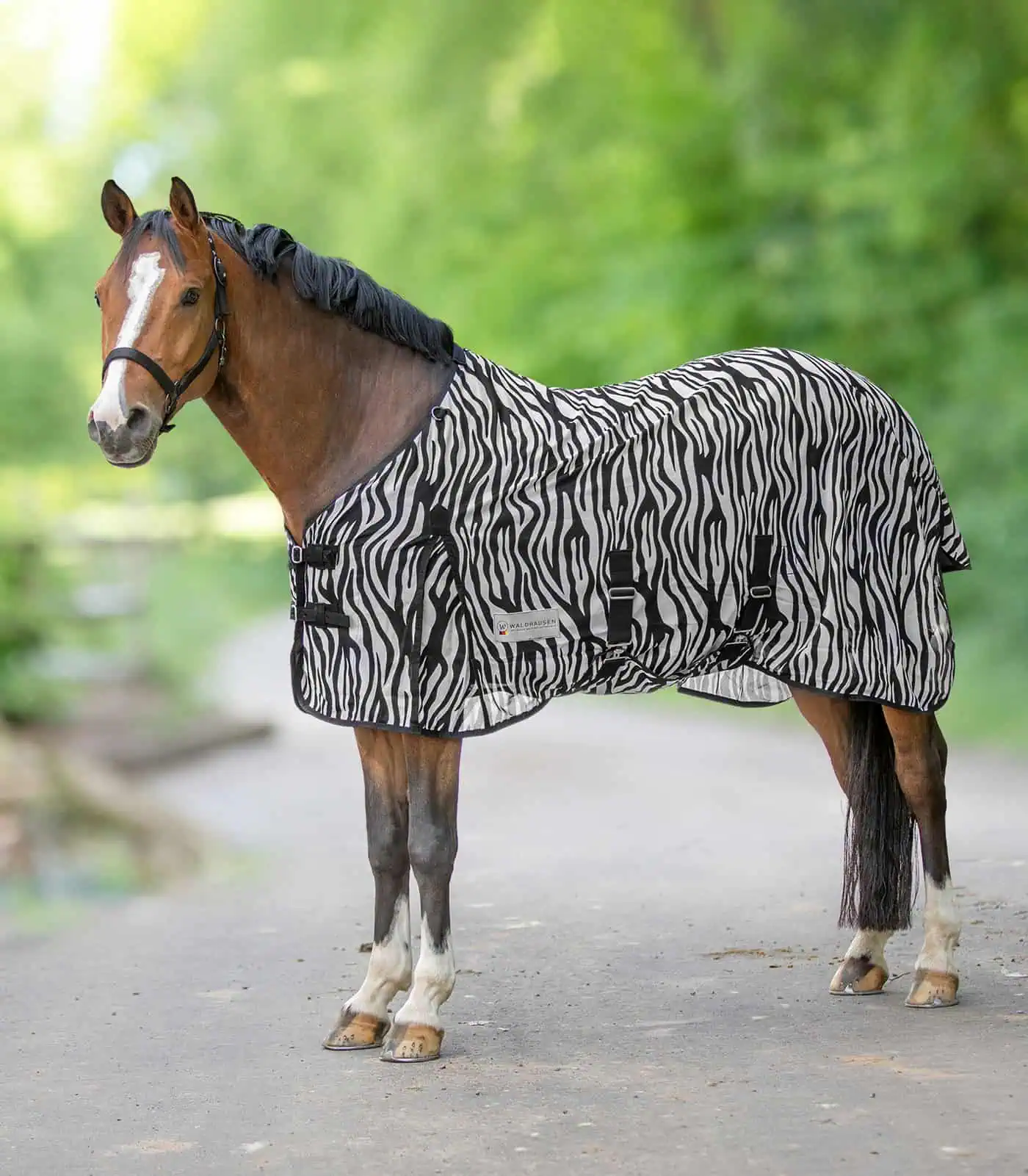 Zebra Fly Rug black-and-white 75