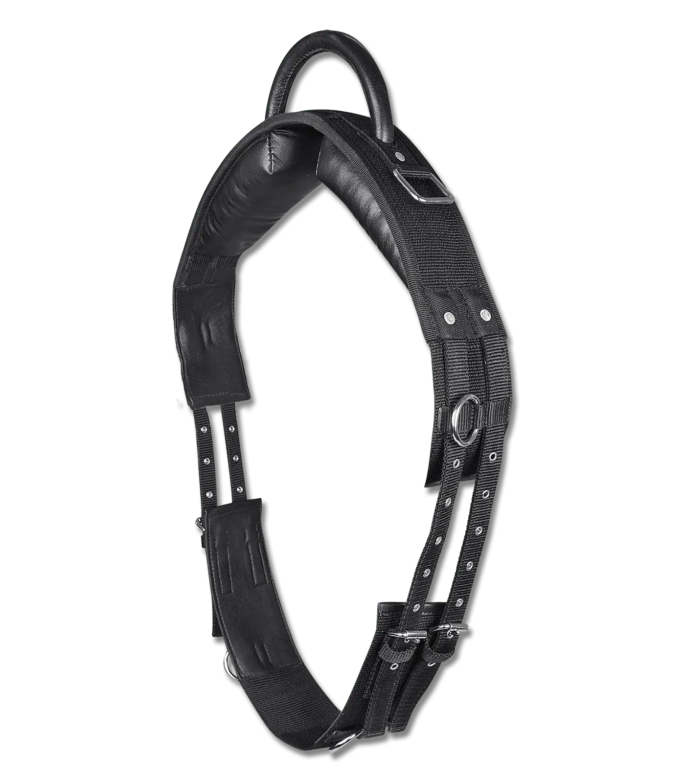 Lunging surcingle with handle black Shetty