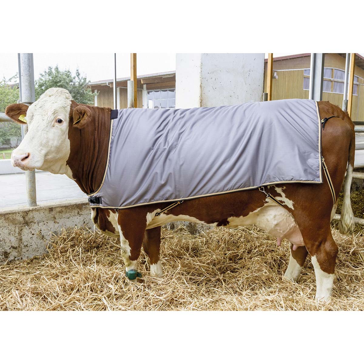 Kerbl tehéntakaró nagytestű szarvasmarhák számára 175 cm