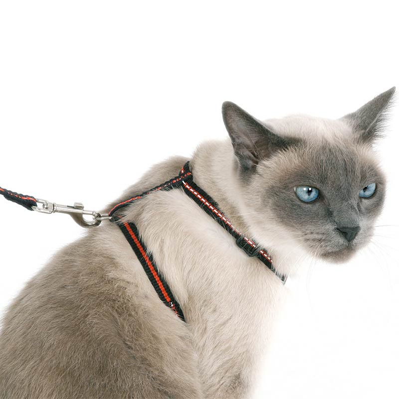 Kerbl macskakészlet REFLECTIVE 3 részes nyakörvvel, hevederrel és pórázzal
