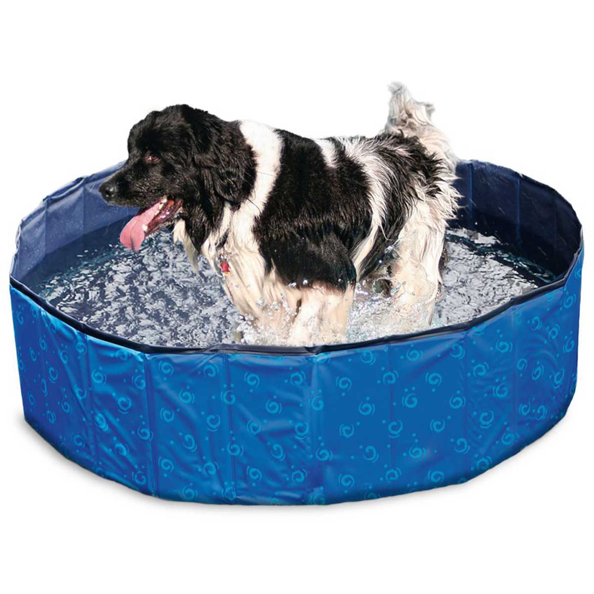 Karlie dog pool DOGGY POOL kék