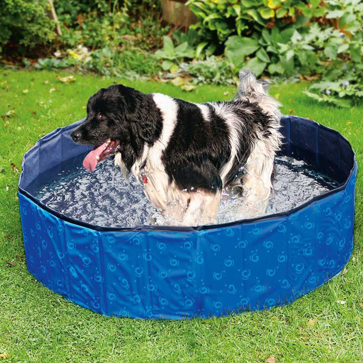 Karlie dog pool DOGGY POOL kék