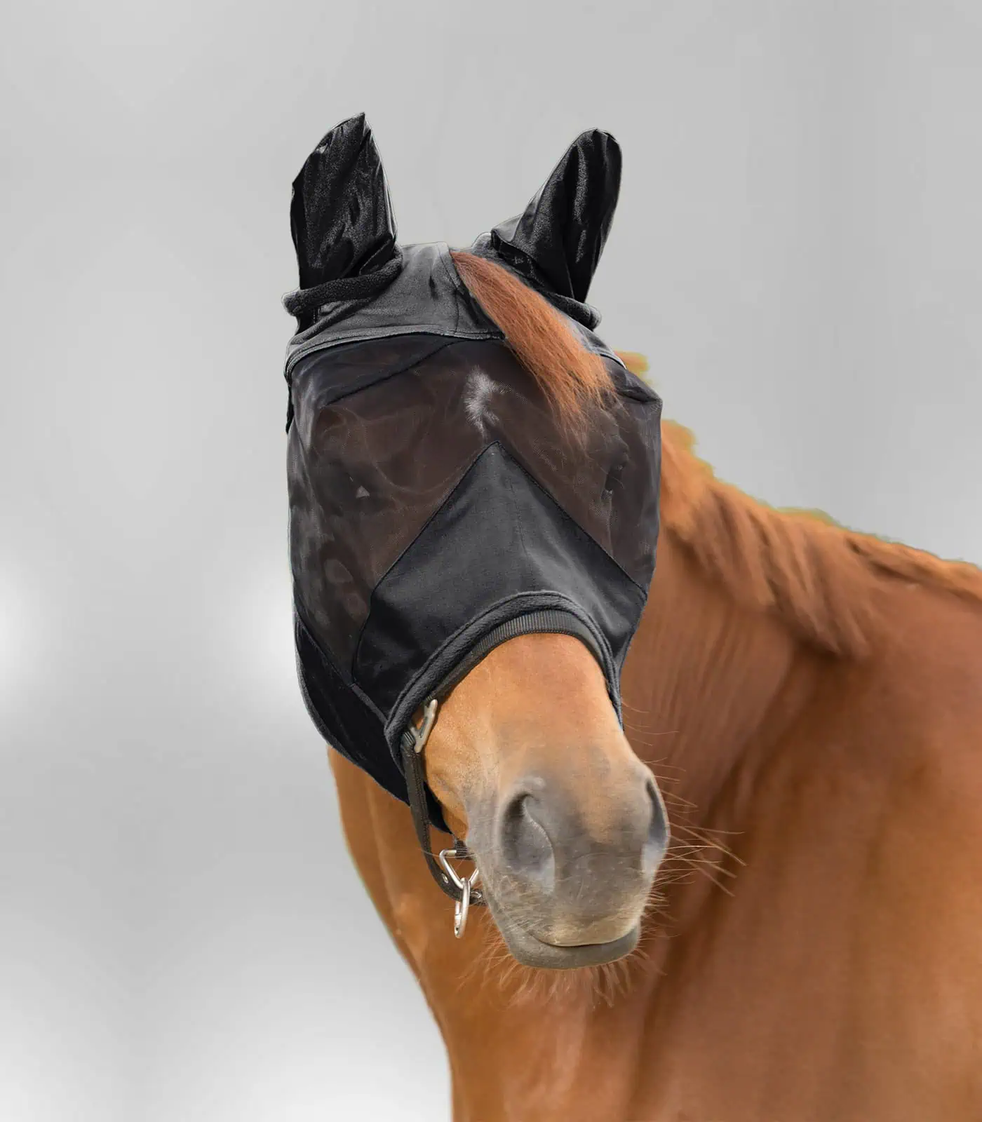 PREMIUM Fly Mask with ear protection black Pony