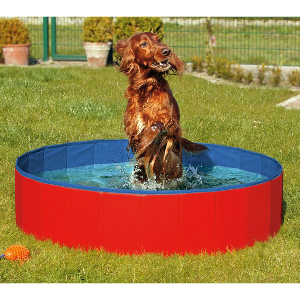 Karlie dog pool DOGGY POOL piros