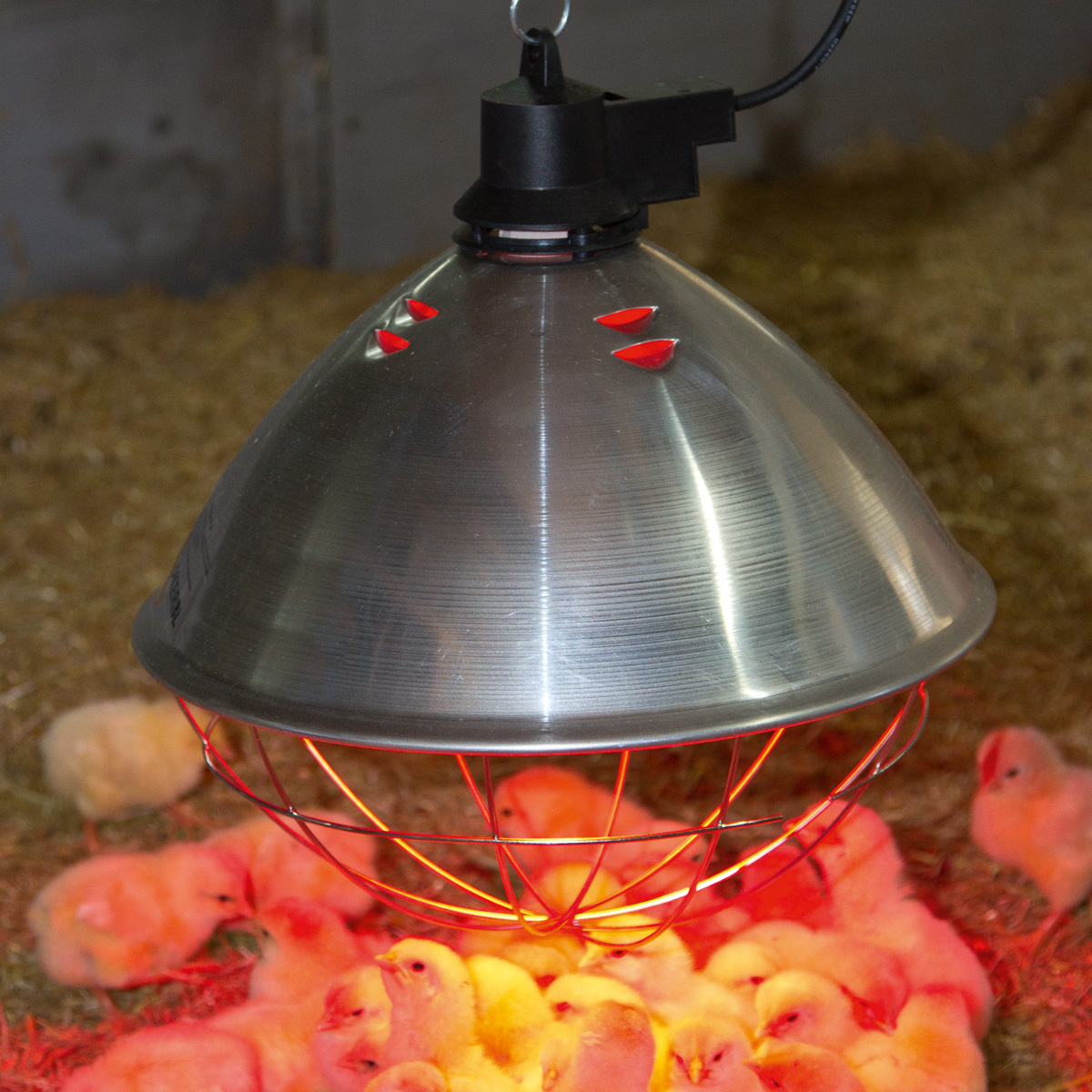 Infravörös hősugárzó fűtőtest, edzett üveglámpával 250 W, piros színű