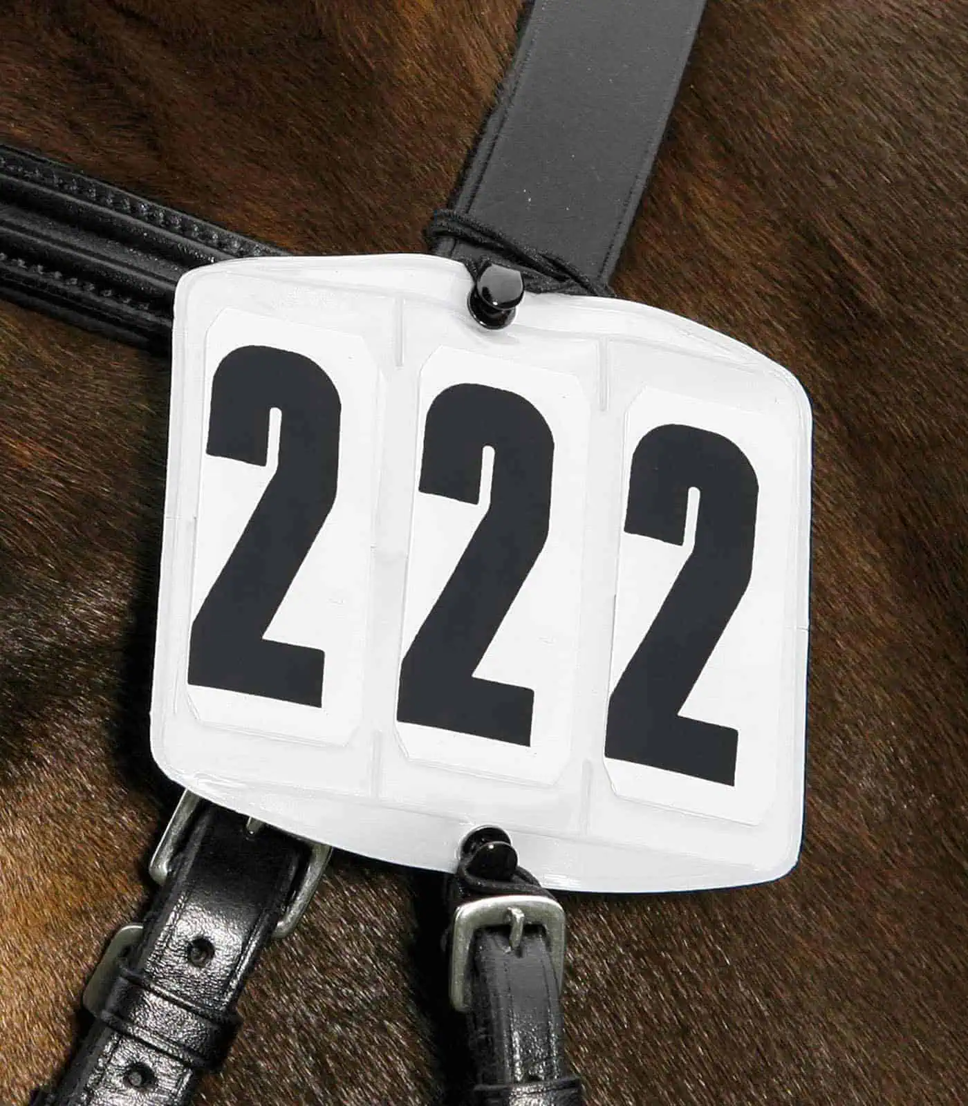 Bridle Numbers, rectangular 