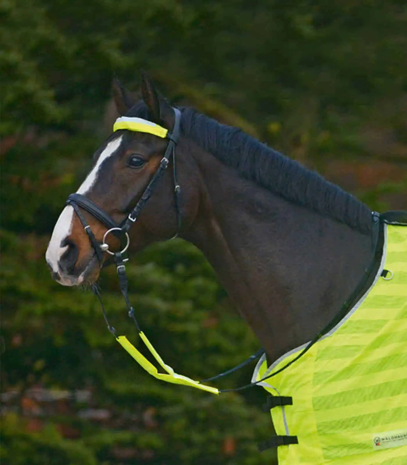 REFLEX Bridle-Set neon yellow