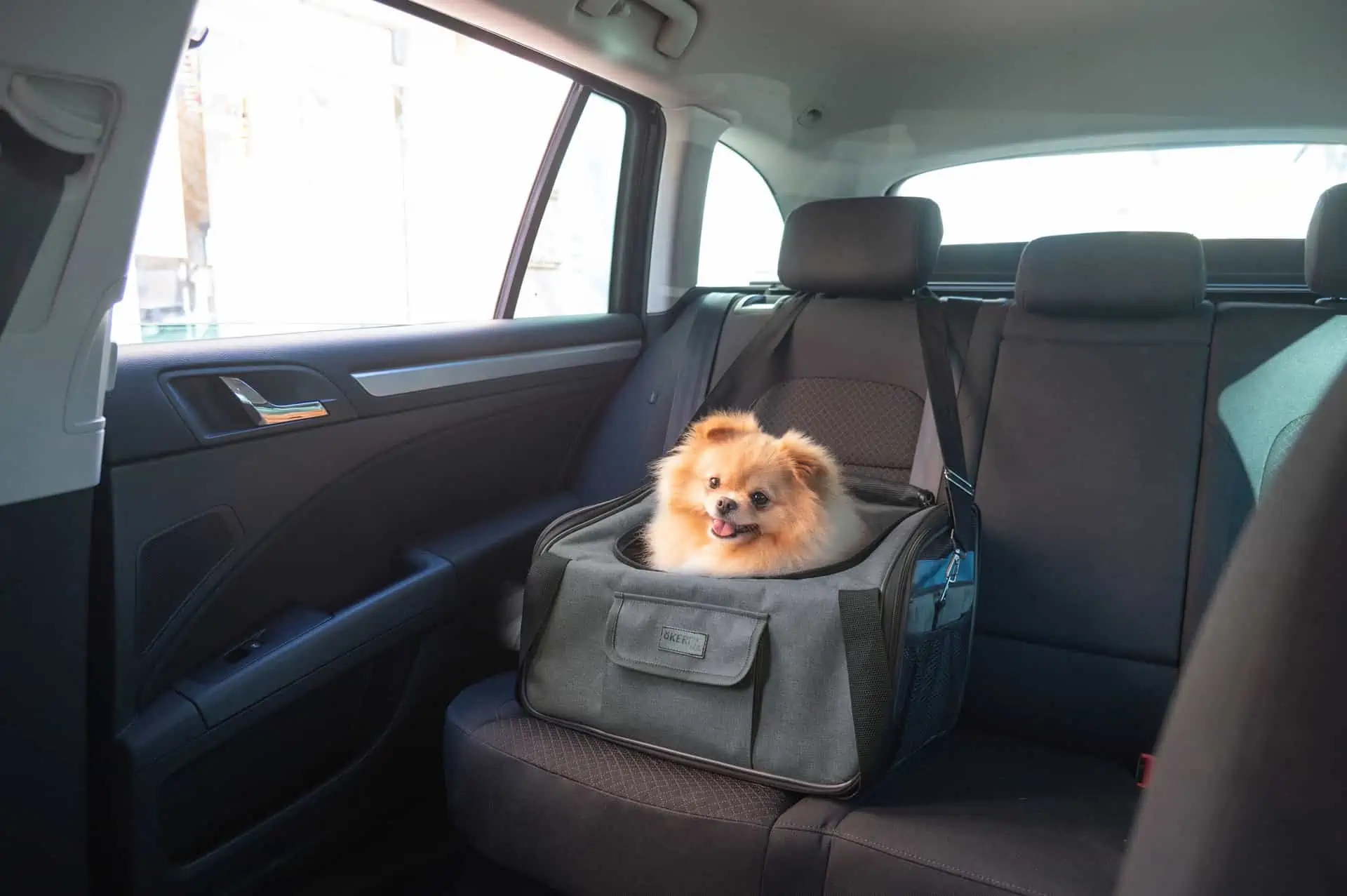 Vacation autós kutyahordozó táska 44x35x30cm, szürke/kék