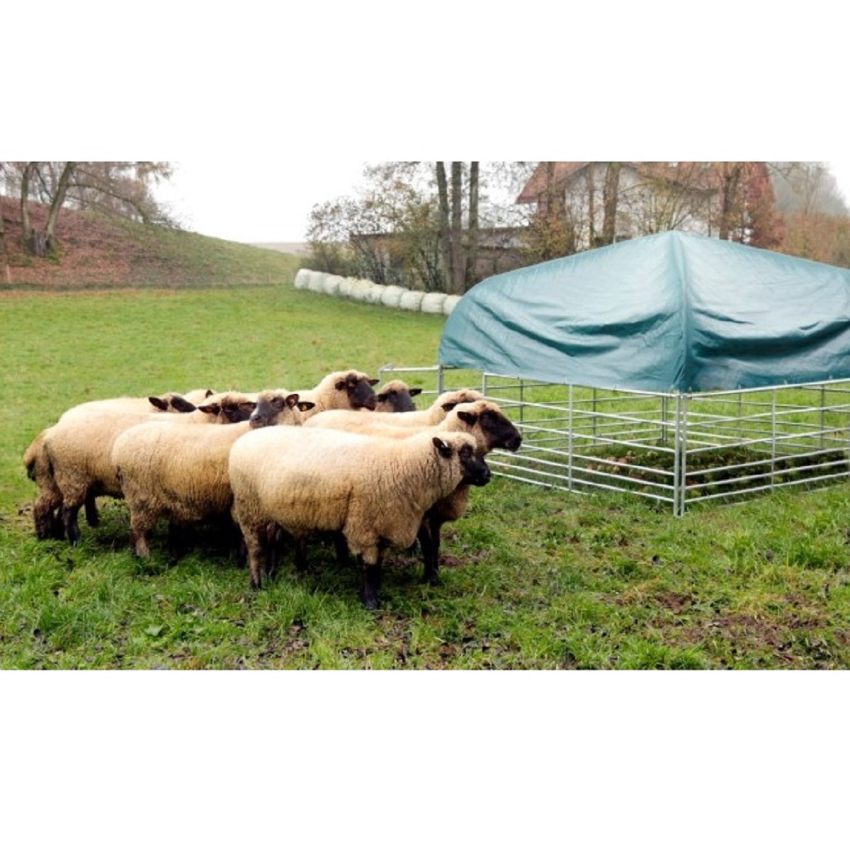 Legelősátor komplett készlet juhok és kecskék számára 2,75 x 2,75 m