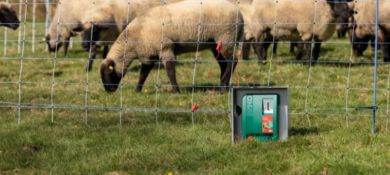 Elektromos Kerítéskombinációs Készülék