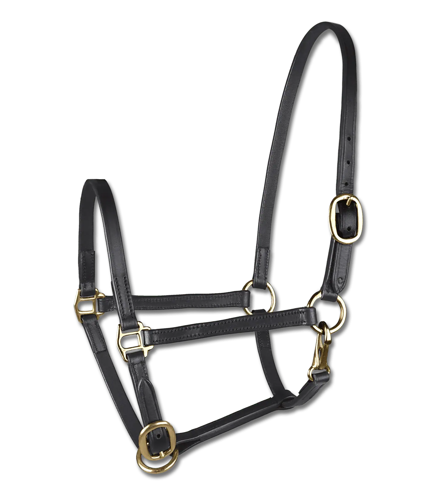 STAR foal show halter, leather black Mini Shetty