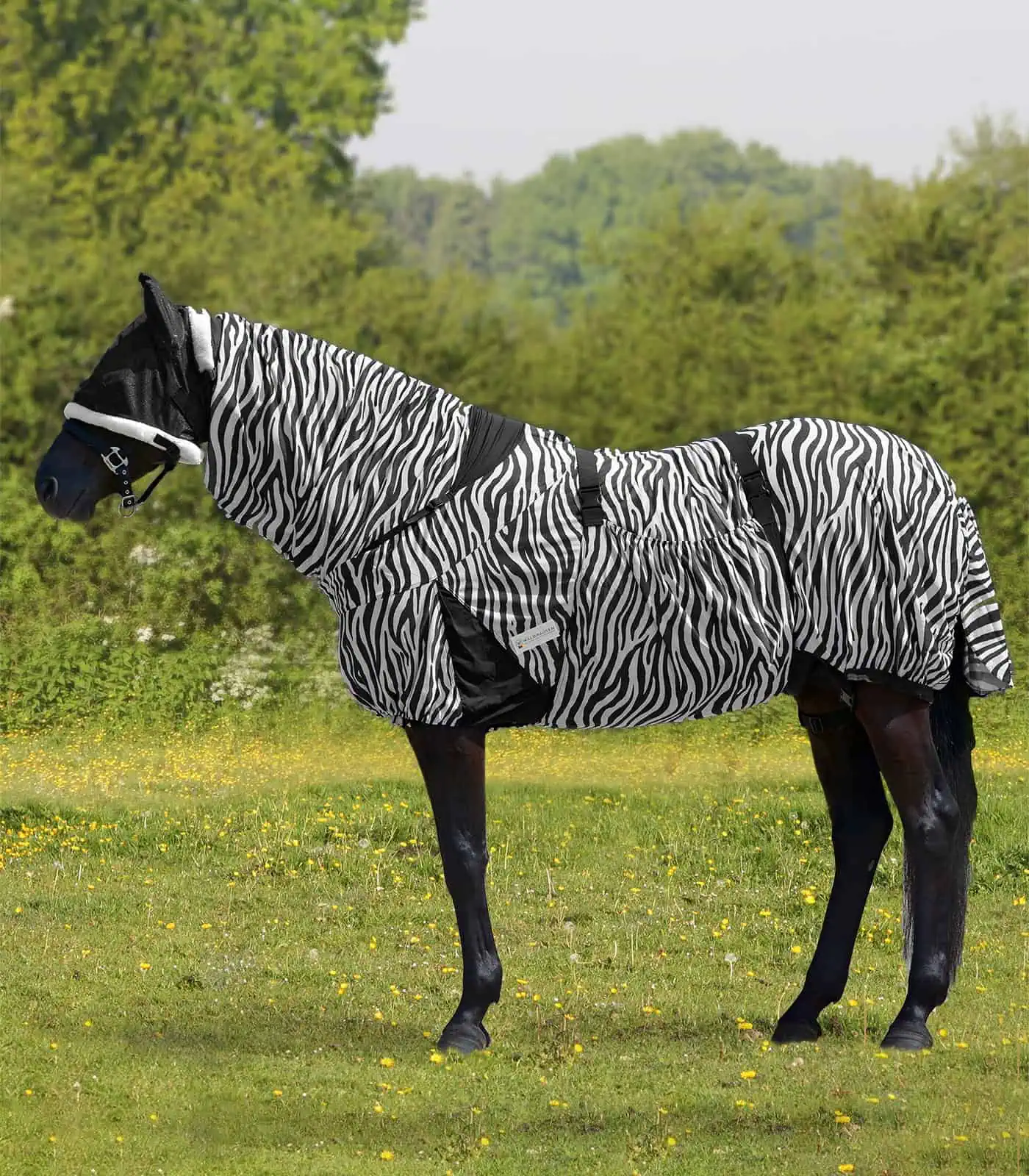 Eczema Rug Zebra black-and-white 115