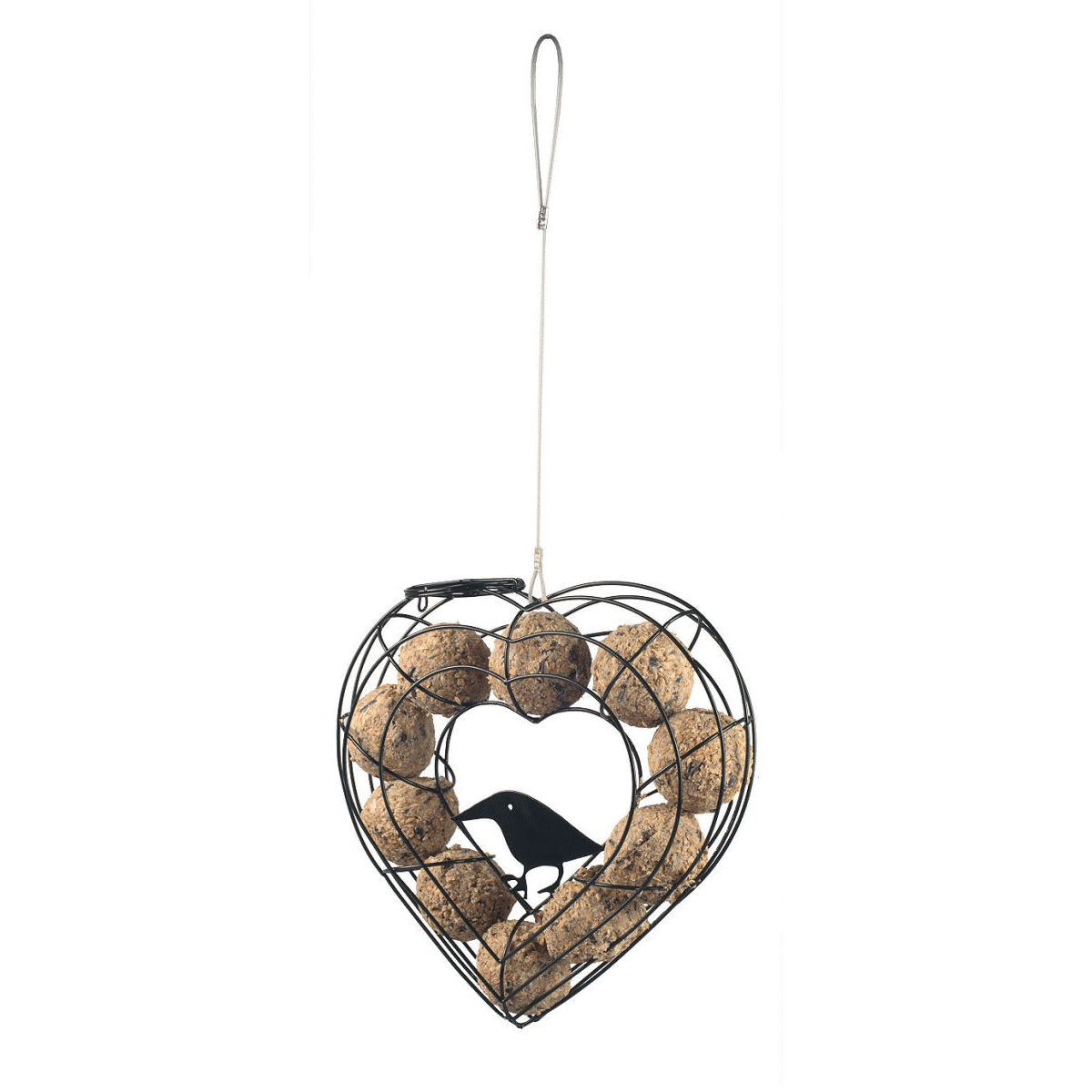 Erdtmanns cinke gombóc tartó szív alakú