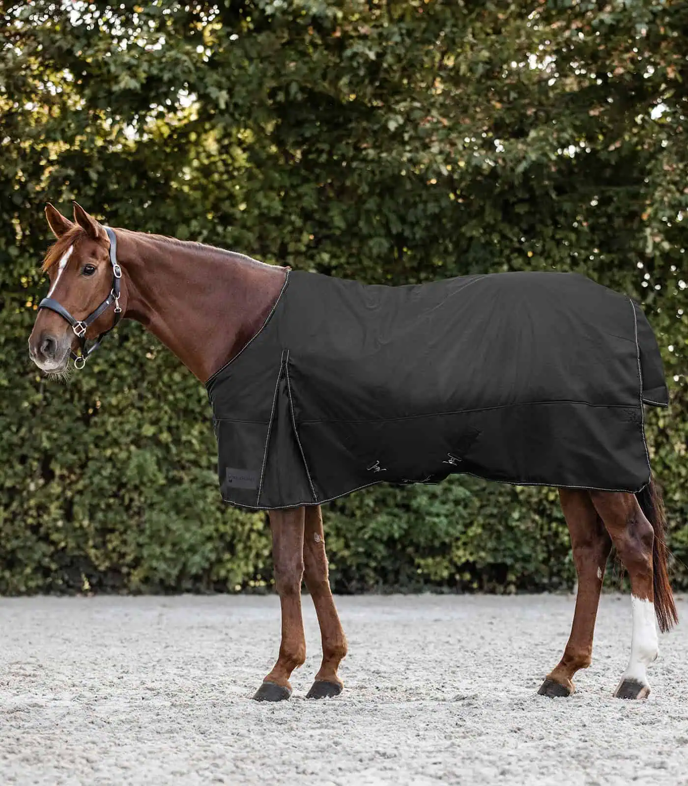 NORDIC Turnout Rug, Fleece black 105