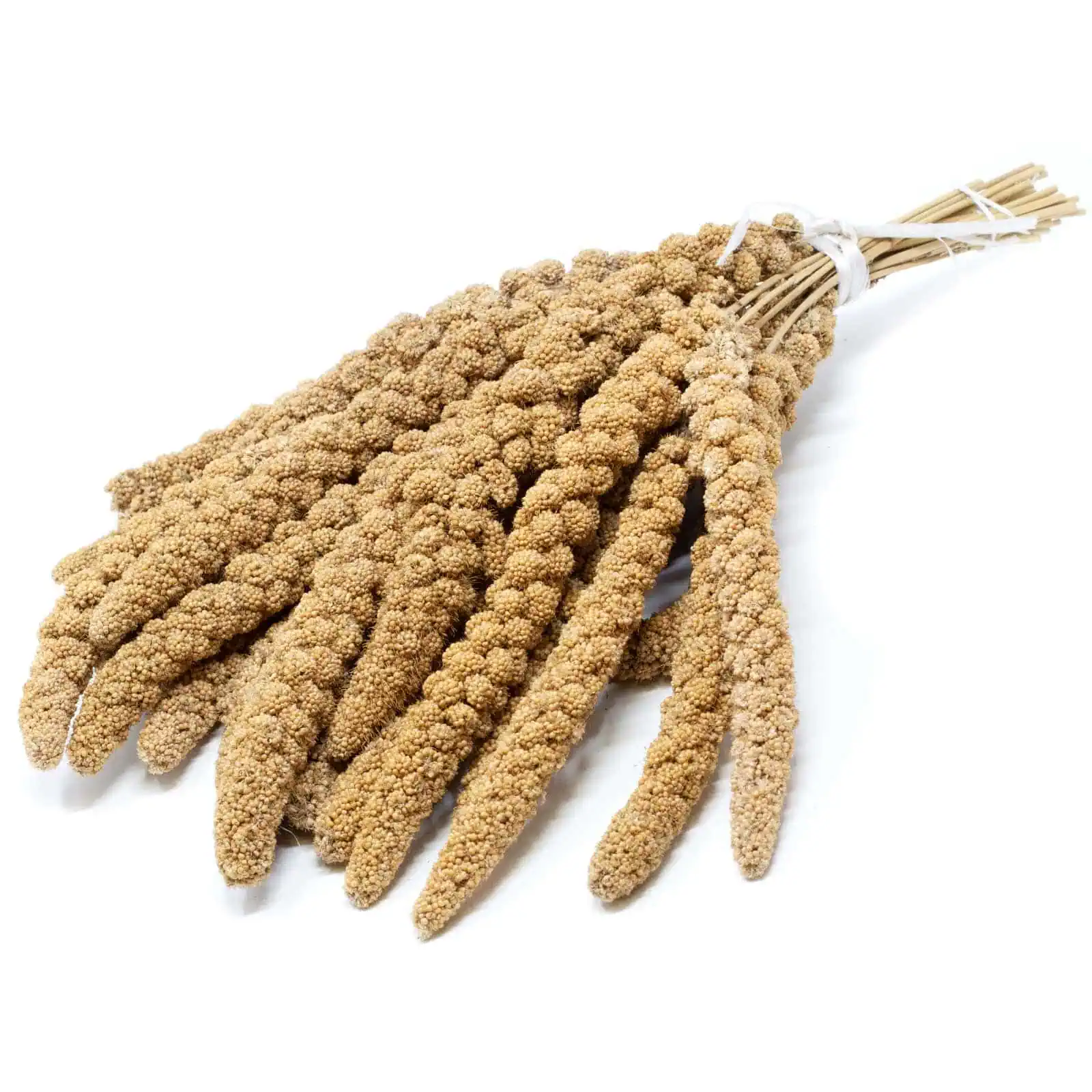 Agrarzone Austrian Foxtail Millet yellow, 5 kg