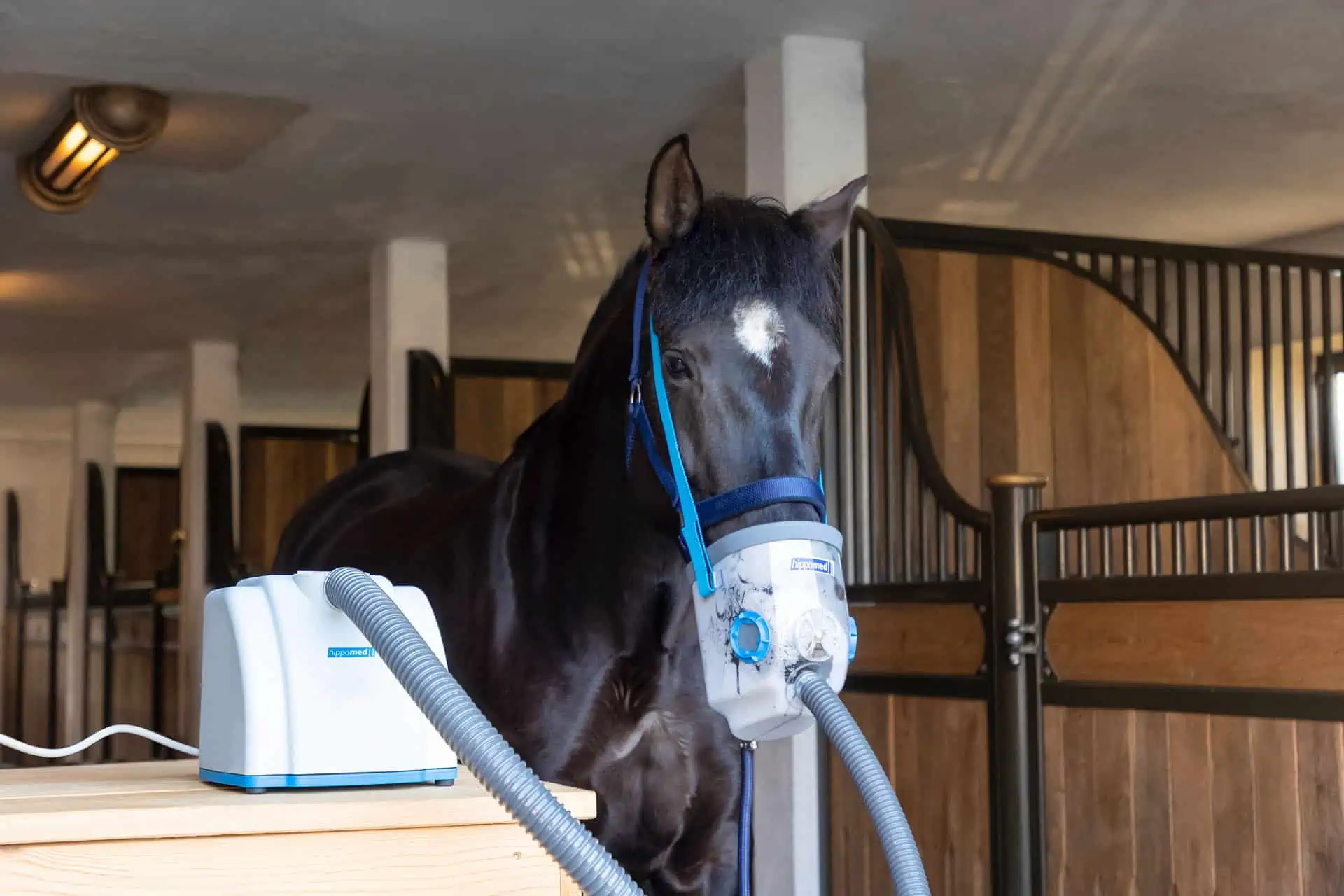 Hippomed AirOne ultrahangos inhalátor lovaknak maszk nélkül
