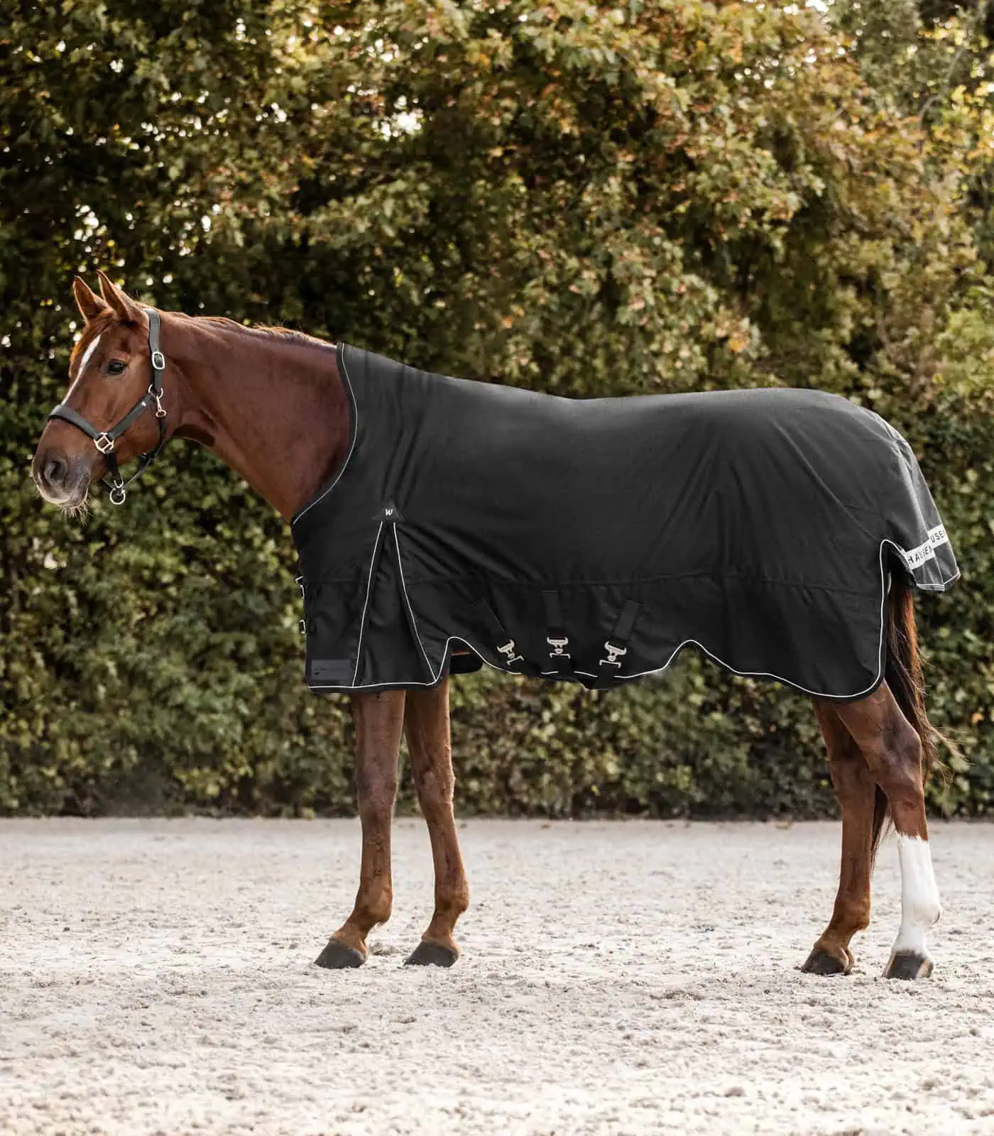 SCANDIC Turnout Rug, High Neck, 100 g black 125