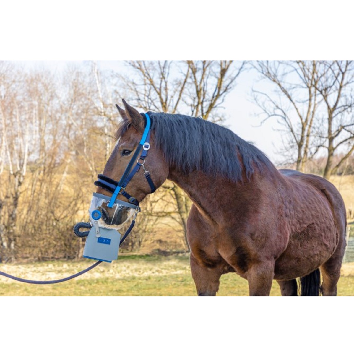 Hippomed ultrahangos inhalátor lovaknak AirOne Flex, akkumulátoros, maszk nélkül