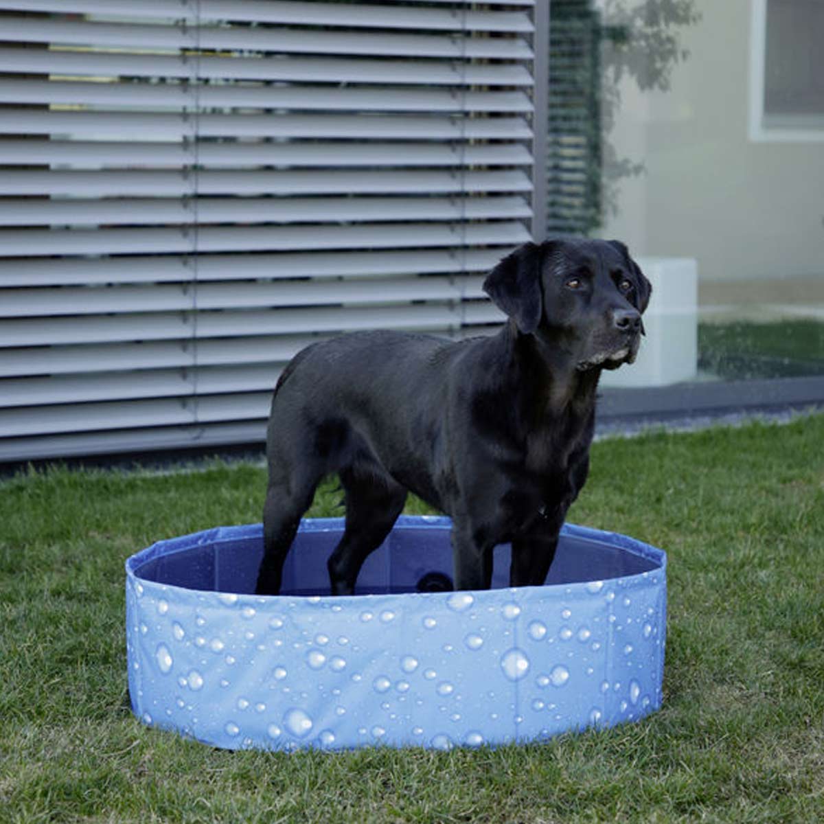 Kerbl kutya medence buborék