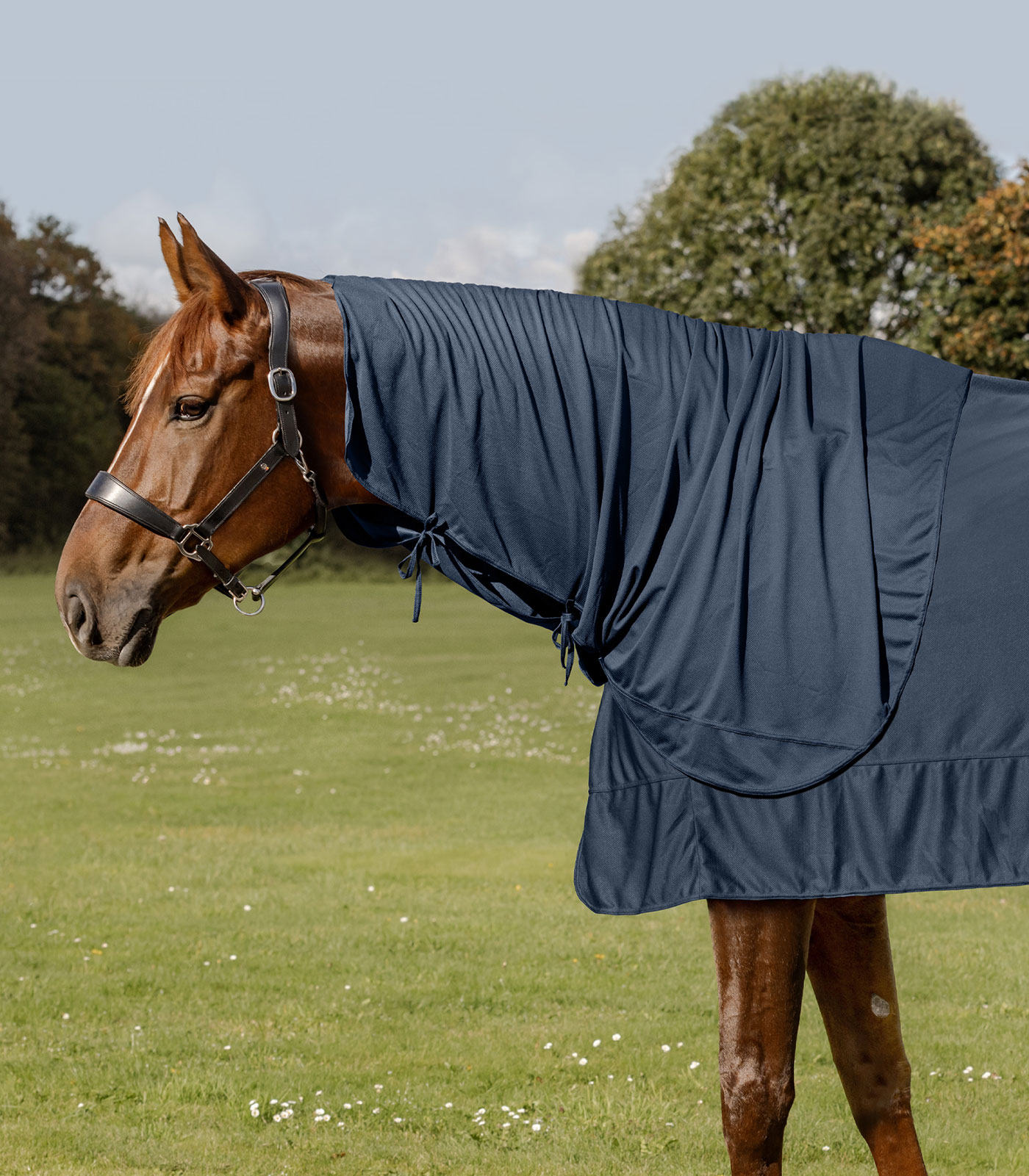 Waldhausen W-Health & Care Ice Layer Neckpiece, midnight blue, COB