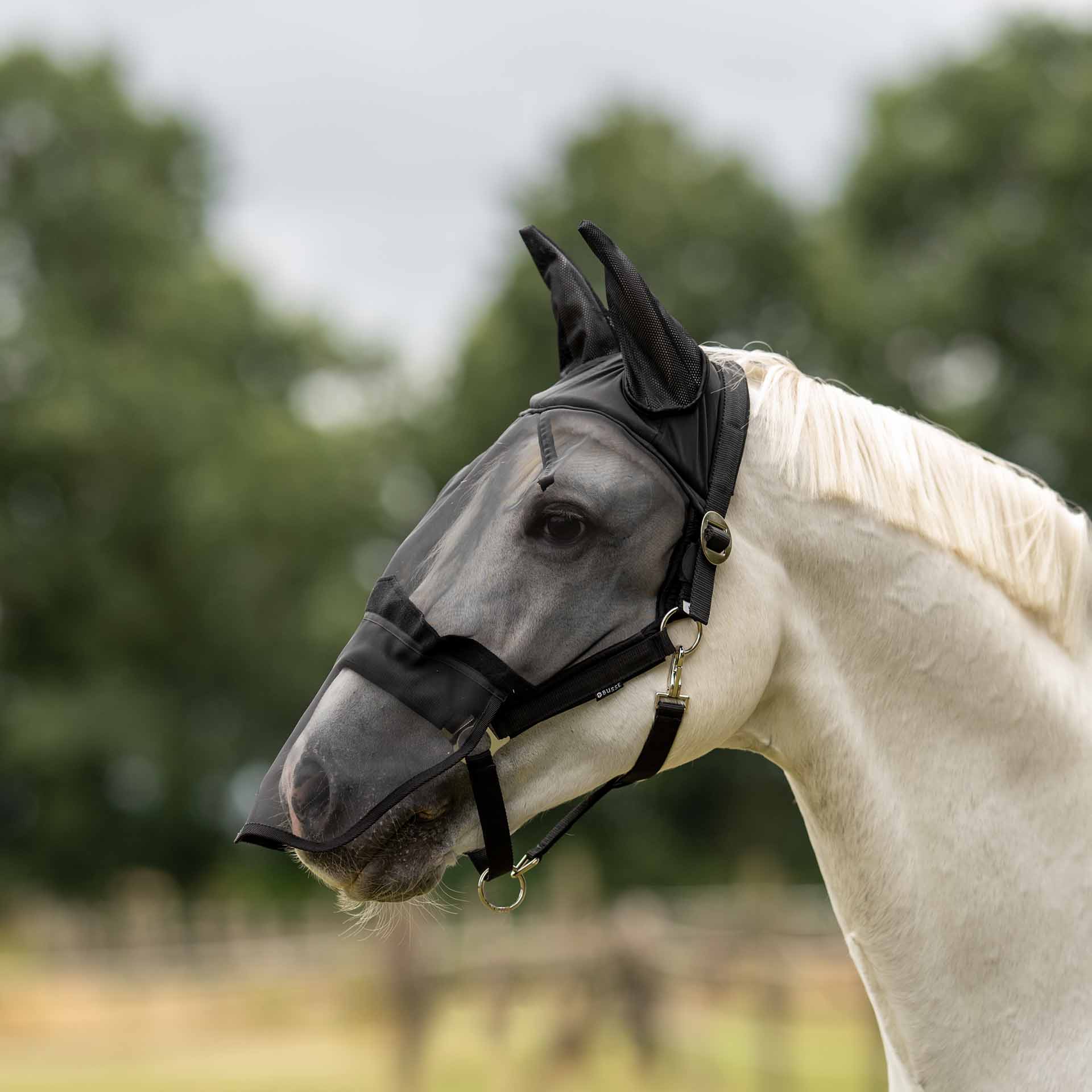 BUSSE Fly Halter FAST PLUS Póni fekete