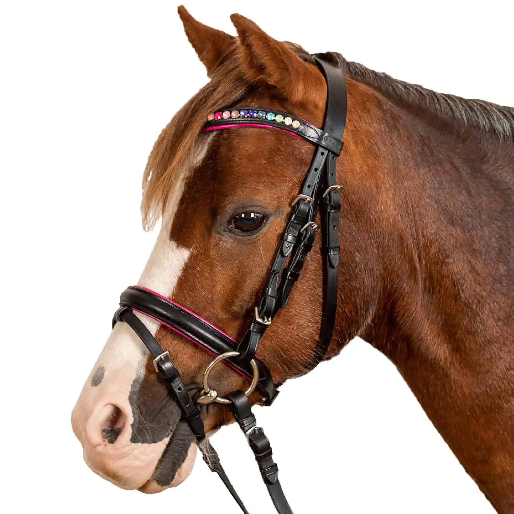 Pinky STAR Bridle black Mini Shetty